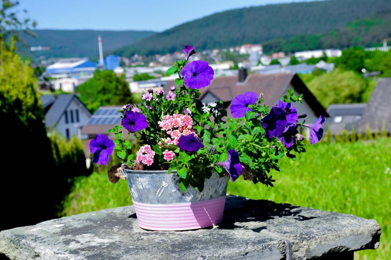 Hotel Bergwiesen - Zimmer Mit Balkon Oder Terasse Lohr Kültér fotó